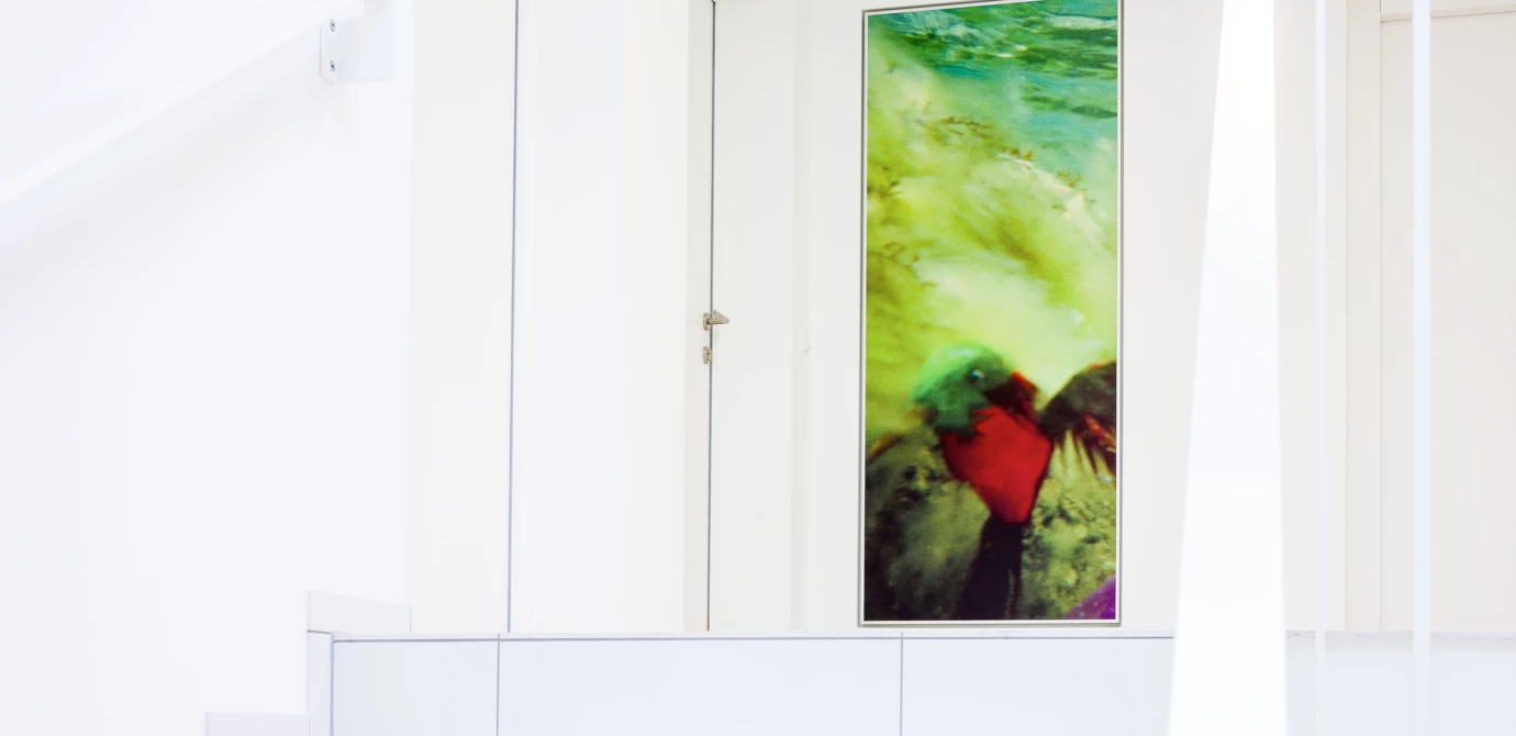 Wohnanlage Eicheleweg Kunst am Bau Hard Rhomberg Bau Wohnanlage Eicheleweg Kunst am Bau Hard Rhomberg Bau
